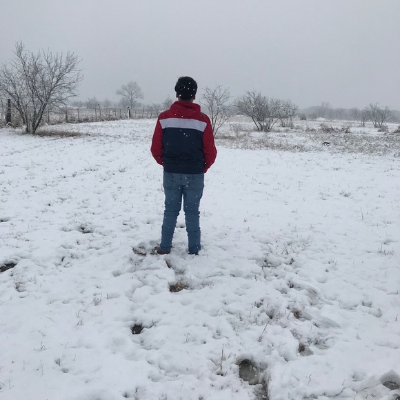 Meet your Posher, Leo - Picture 1 of 1